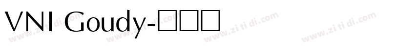 VNI Goudy字体转换